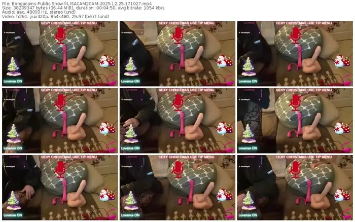 bongacams-lisacam2cam-12-25-2025-17-10-27
