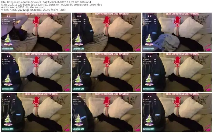 bongacams-lisacam2cam-12-28-2025-05-19-00