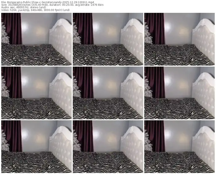 bongacams-secretarysandy-12-29-2025-10-09-11
