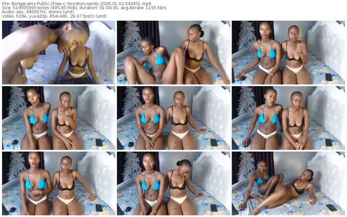 bongacams-secretarysandy-01-02-2026-04-34-51