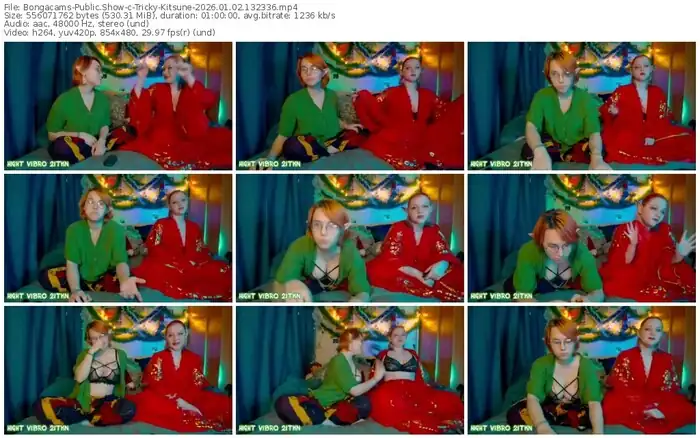 bongacams-tricky-kitsune-01-02-2026-13-23-36