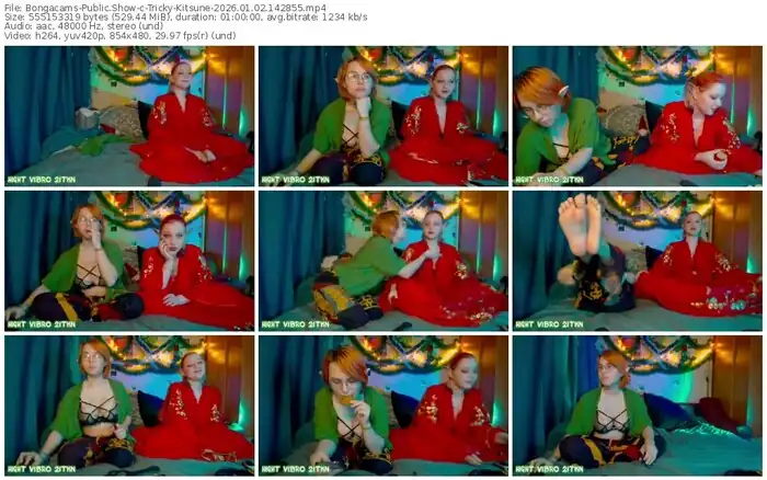 bongacams-tricky-kitsune-01-02-2026-14-28-55