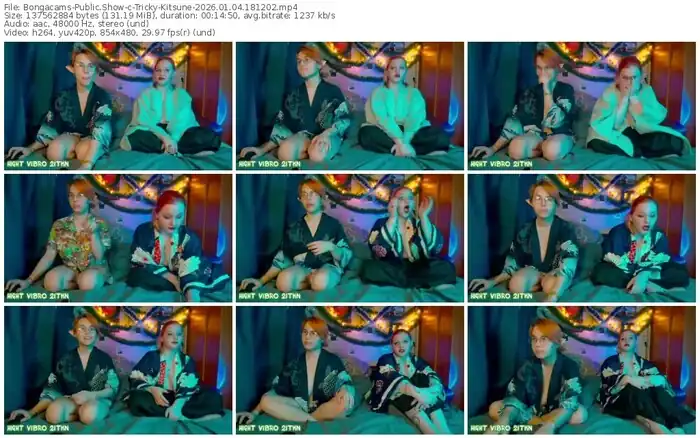 bongacams-tricky-kitsune-01-04-2026-18-12-02