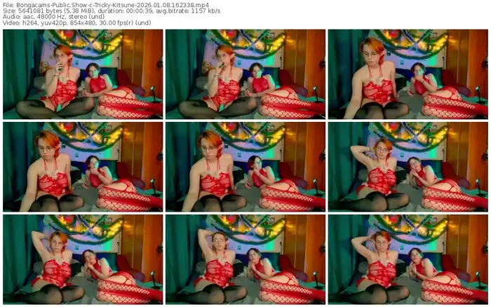 bongacams-tricky-kitsune-01-08-2026-16-23-38
