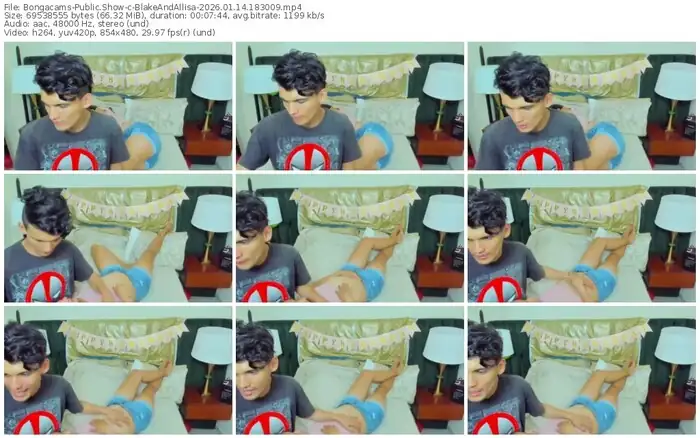 bongacams-blakeandallisa-01-14-2026-18-30-09