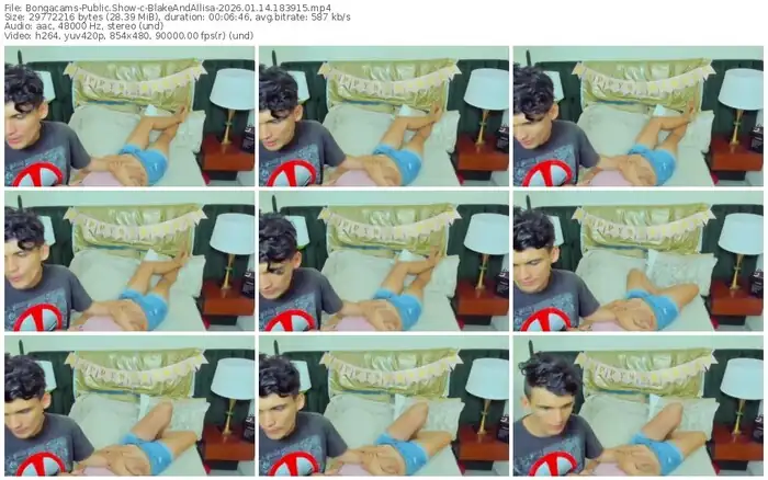 bongacams-blakeandallisa-01-14-2026-18-39-15