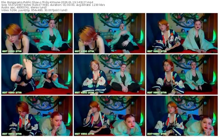 bongacams-tricky-kitsune-01-19-2026-14-31-27