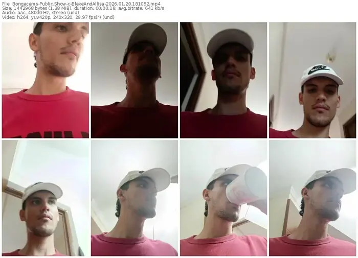 bongacams-blakeandallisa-01-20-2026-18-10-52