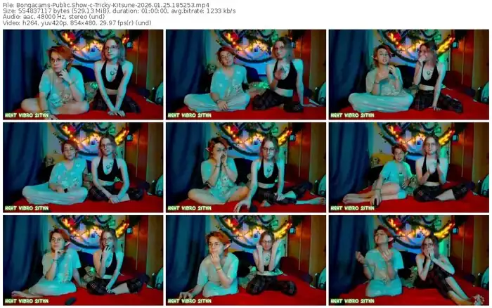 bongacams-tricky-kitsune-01-25-2026-18-52-53