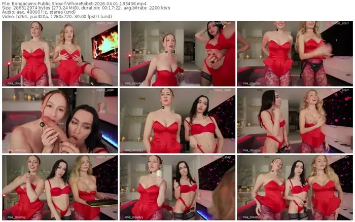 bongacams-whorerobot-04-01-2026-18-34-36