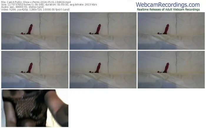 cam4-permi-05-01-2024-19-44-24