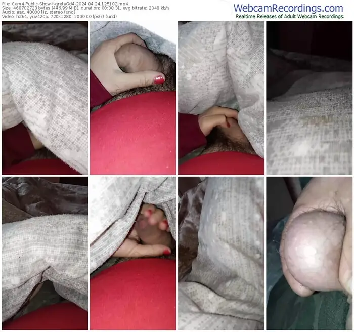 cam4-gretagd4-04-24-2024-12-51-02