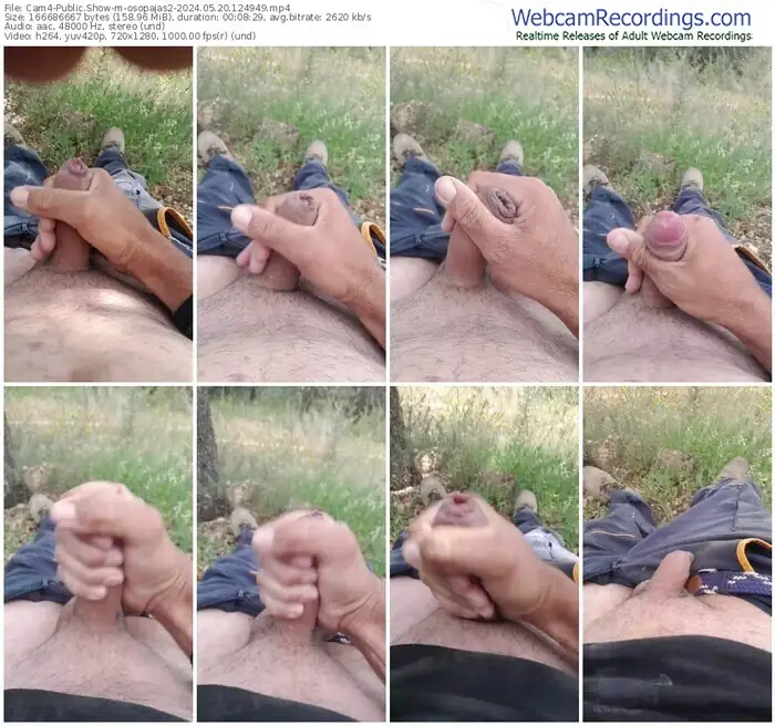 cam4-osopajas2-05-20-2024-12-49-49