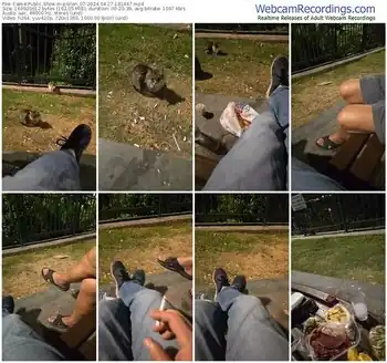 cam4-pollen_07-04-27-2024-18-14-47