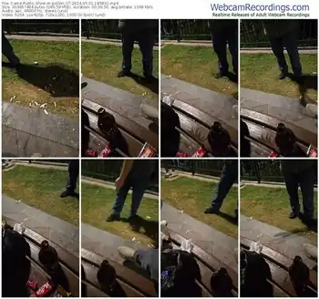 cam4-pollen_07-05-01-2024-18-58-31