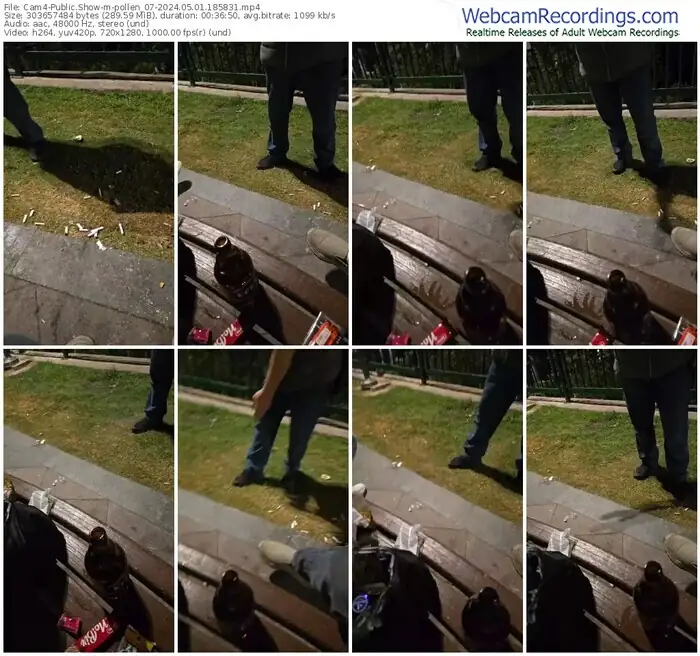 cam4-pollen_07-05-01-2024-18-58-31