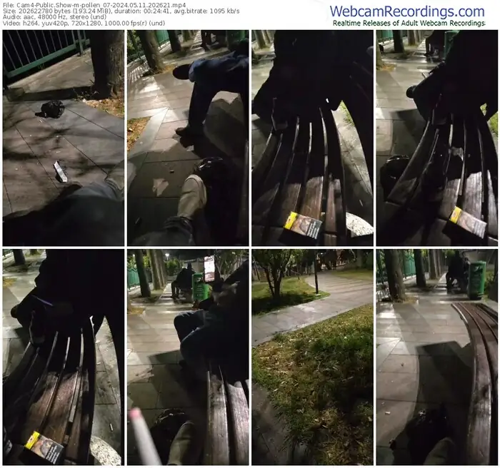 cam4-pollen_07-05-11-2024-20-26-21