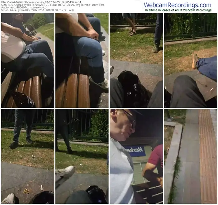 cam4-pollen_07-05-19-2024-18-54-34