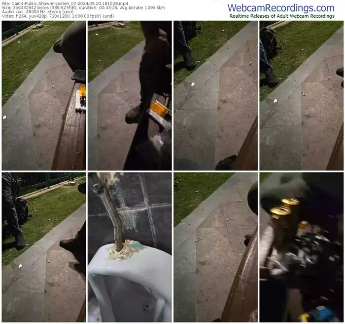 cam4-pollen_07-05-20-2024-18-10-28