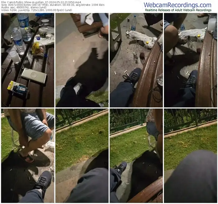 cam4-pollen_07-05-22-2024-21-33-50