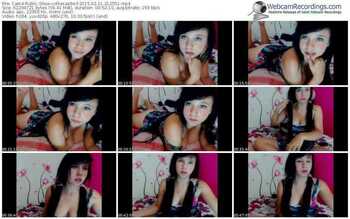 cam4-colliecastle-public-show-02_11_2015-21_25_51