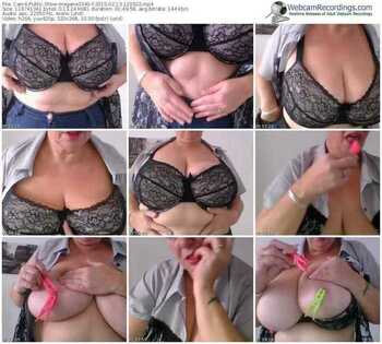 cam4-megane3340-public-show-02_13_2015-12_00_22