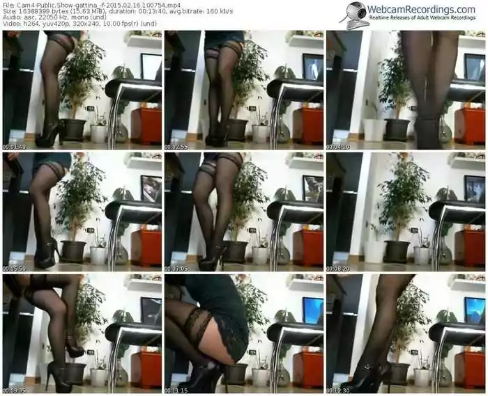 cam4-gattina_-public-show-02_16_2015-10_07_54