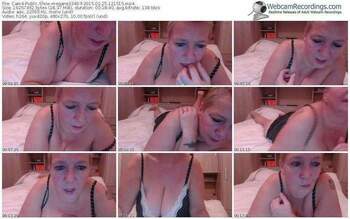 cam4-megane3340-public-show-02_25_2015-12_15_15
