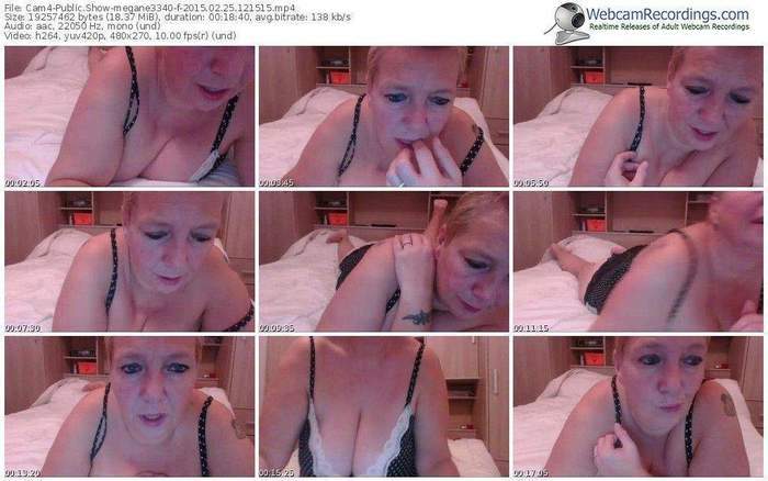 cam4-megane3340-public-show-02_25_2015-12_15_15