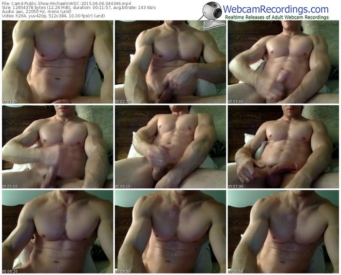 cam4-michaelinwdc-public-show-06_06_2015-04_43_46