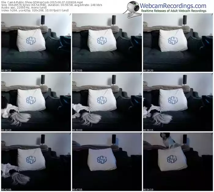 cam4-sdwopcock-public-show-06_07_2015-02_08_18