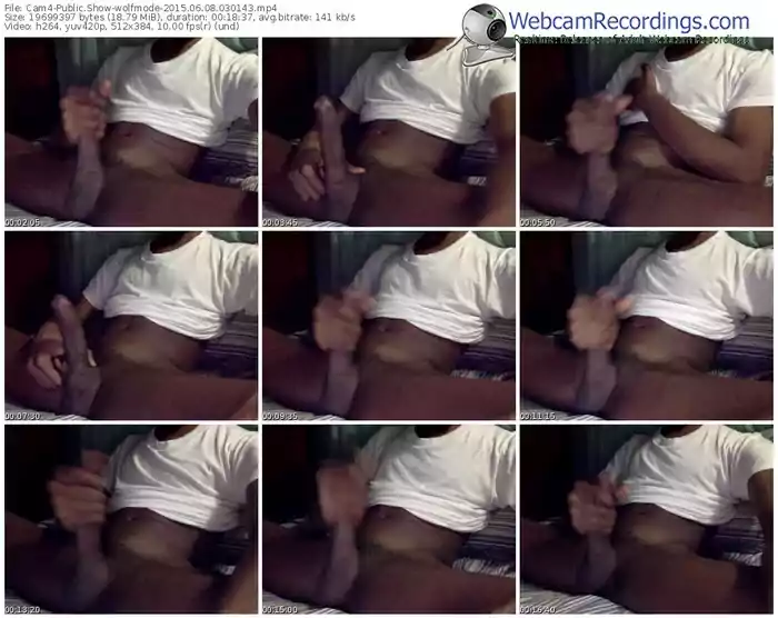 cam4-wolfmode-public-show-06_08_2015-03_01_43