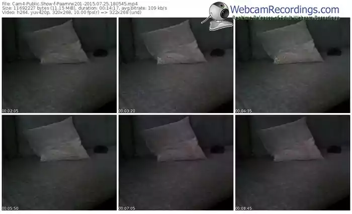 cam4-paarnrw201-public-show-07_25_2015-18_05_45