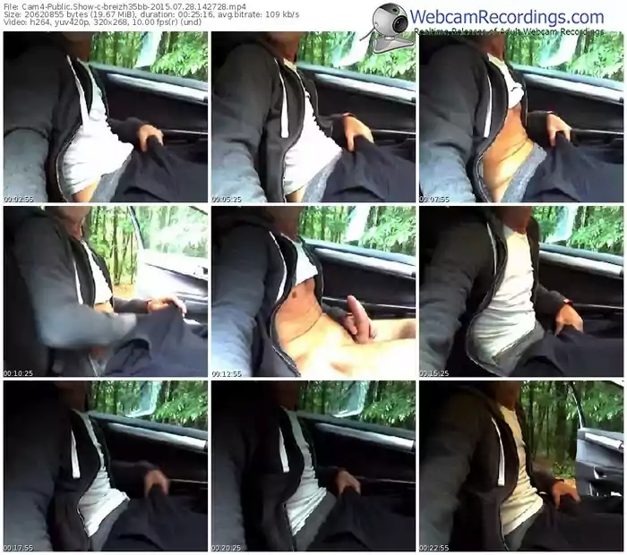 cam4-breizh35bb-public-show-07_28_2015-14_27_28