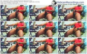 cam4-diesel328-public-show-07_28_2015-01_12_17