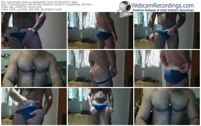 cam4-dantte2012-public-show-07_28_2015-01_02_17