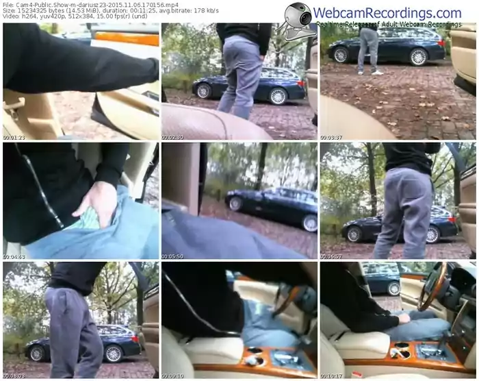 cam4-dariusz23-webcam-show-11_06_2015-17_01_56