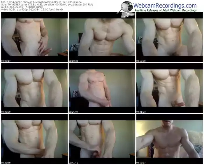 cam4-michaelinwdc-webcam-show-11_14_2015-17_35_12