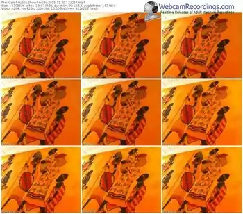cam4-bitifo-webcam-show-11_20_2015-17_22_54