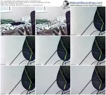 cam4-deboras22-webcam-show-11_28_2015-02_10_29