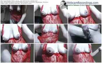 cam4-wise__cat-webcam-show-12_04_2015-13_39_30