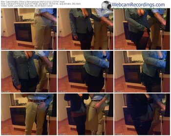 cam4-fenicerossa-webcam-show-12_12_2015-17_37_57