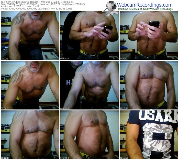 cam4-dragon__wolf-webcam-show-12_13_2015-19_48_03
