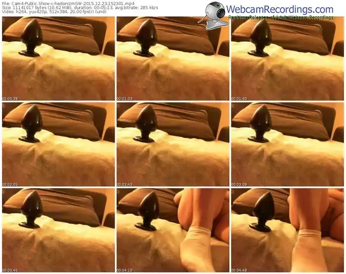 cam4-hedonizmgw-webcam-show-12_23_2015-15_23_01