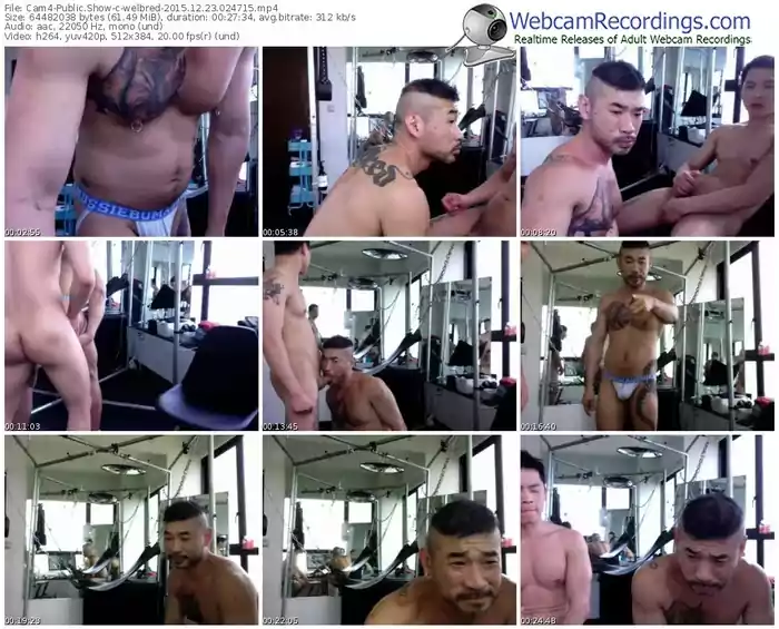 cam4-welbred-webcam-show-12_23_2015-02_47_15