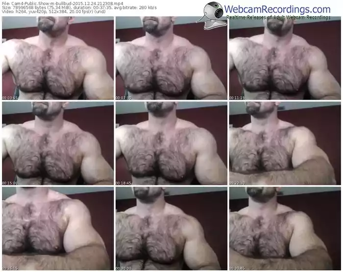 cam4-bullbud-webcam-show-12_24_2015-21_23_08