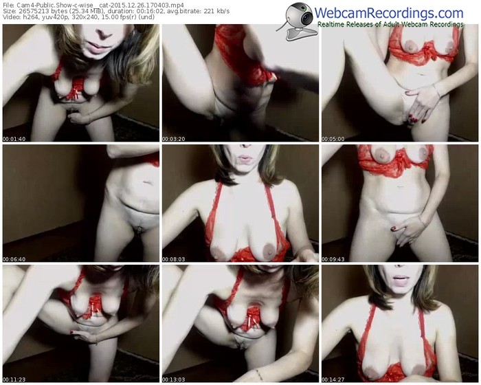 cam4-wise__cat-webcam-show-12_26_2015-17_04_03