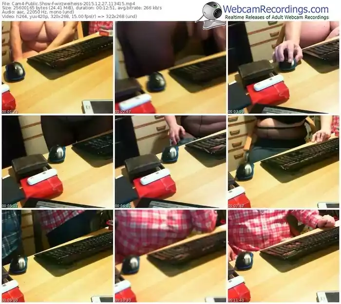 cam4-wirzweiheiss-webcam-show-12_27_2015-11_34_15