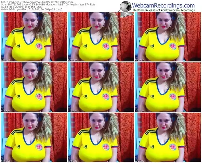 cam4-nynfowild-webcam-show-12_28_2015-17_34_55