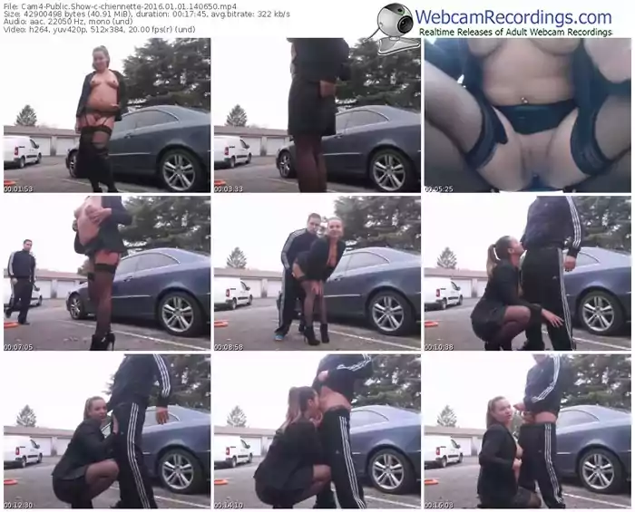 cam4-chiennette-webcam-show-01_01_2016-14_06_50